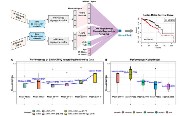 Brain Proteomic Analysis